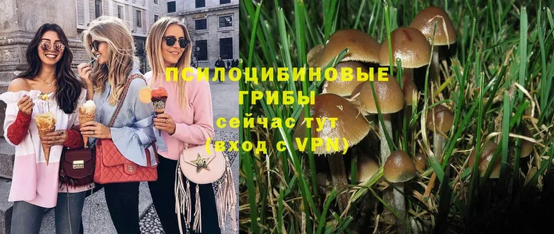 ссылка на мегу ONION  Инта  Галлюциногенные грибы Psilocybine cubensis 